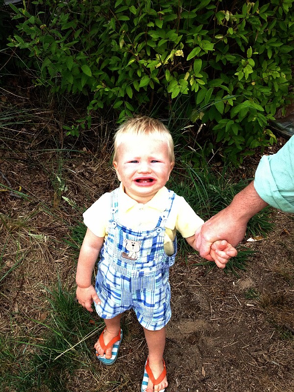 2012 August 25 251.JPG